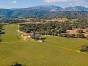 Vendesi rustico/casale/corte a Berchidda