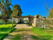 Vendesi rustico/casale/corte a Carloforte