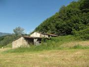 Vendesi rustico/casale/corte a Castiglione di Garfagnana