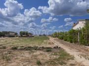 Vendesi rustico/casale/corte a Margherita di Savoia via Orno