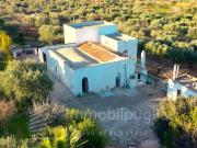 Vendesi rustico/casale/corte a Monopoli