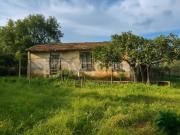 Vendesi rustico/casale/corte a Monte Argentario via del...