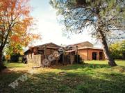 Vendesi rustico/casale/corte a Orvieto