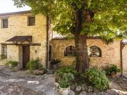 Vendesi rustico/casale/corte a Saludecio via...