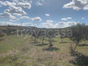 Vendesi rustico/casale/corte a Valderice via Soria, 110,...