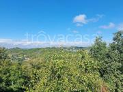 Vendesi rustico/casale/corte a Vigliano d'Asti