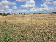 vendesi terreno a Cerveteri