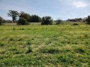 Vendesi terreno agricolo di mq 3200