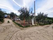 VENDESI TERRENO PANORAMICO CON RUSTICO E STALLE IN... VENDESI TERRENO PANORAMICO CON RUSTICO E STALLE IN...