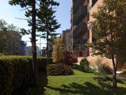 Vendesi trilocale a Bologna, Bolognina