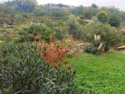 Vendesi trilocale a Chiuduno via Pietro Brolis