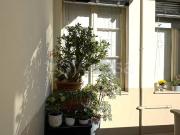 Vendesi trilocale a Milano, Certosa