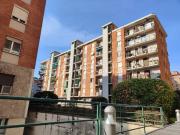 Vendesi trilocale a Milano, Prato Centenaro