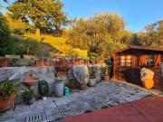 Vendesi trilocale a Montecatini Alto, Montecatini Terme