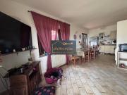 Vendesi trilocale a Santa Luce, Pastina