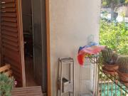 Vendesi trilocale ad Ancona, Collemarino