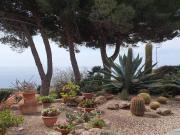 Vendesi villa bifamiliare a Bordighera