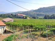 Vendesi villa bifamiliare a Castelcerino, Soave