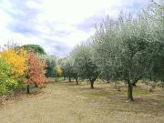 Vendesi villa bifamiliare a Forlì, Vecchiazzano Ospedale