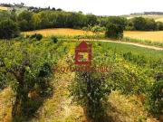 Vendesi villa bifamiliare a Rimini via Il Colle, San...