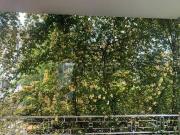 Vendesi villa bifamiliare a Treviso, San Paolo