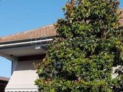Vendesi villa singola a Casalnoceto