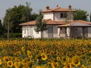 Vendesi villa singola a Cortona