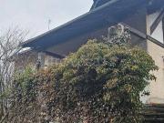 Vendesi villa singola a Dimaro Folgarida via Di Cunanech