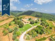 Vendesi villa singola a Manciano