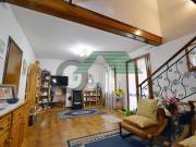 Vendesi villa singola a Mirano