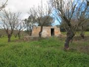 Vendesi villa singola a Ostuni