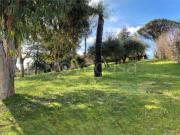 Vendesi villa singola a Roma, Torricola Tor Carbone