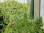 Vendesi villa singola a Salzano via Montegrappa