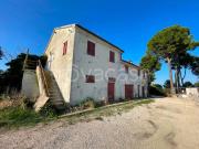 Vendesi villa singola a Senigallia