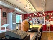 Vendesi villa singola a Spresiano