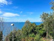 Vendesi villa singola a Trieste via della Vitalba,...