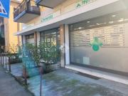 Vendesi villa singola a Verona, Borgo Roma