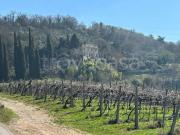 Vendesi villa singola a Verona via della Segheria, 24,...