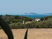 Vendesi villa singola ad Alghero