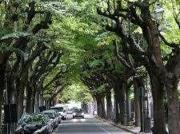 vendita 5 vani 113mq