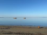 Vendita appartamento Follonica