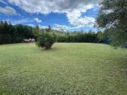 Vendita casa Scarlino