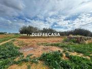 vendita C/da Cozzaro 7000mq