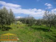 vendita C/DA CUGNO 7300mq