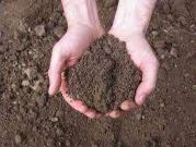 vendita Contrada Cozzaro 3500mq