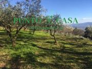 vendita Contrada Crozzano bilocale 1430mq vendita Contrada Crozzano bilocale 1430mq