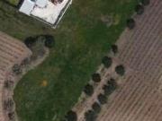 vendita Contrada Fontana di Leo 4800mq