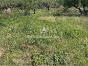 vendita Contrada Serra Miceli 2640mq