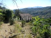 vendita Corso Bernardo Leone bilocale 31mq