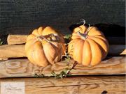 vendita Località Mola bilocale 55mq